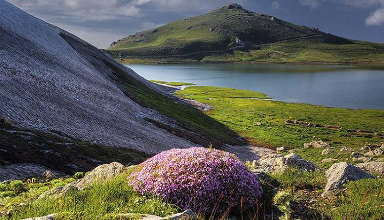 دریاچه دالامپر