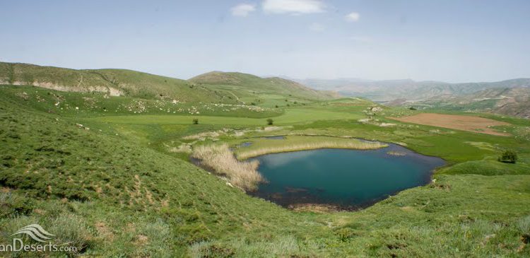 تالاب گرد زرین