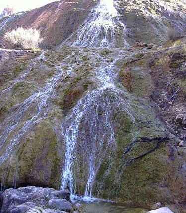 تنگ پلنگان، نی ریز