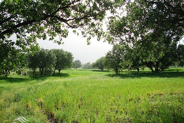 تنگ بوان، ممسنی