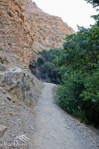 مسیر آبشار هفت چشمه، جاده چالوس