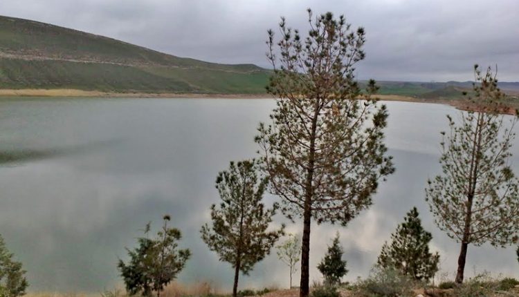 دریاچه بزنگان، سرخس