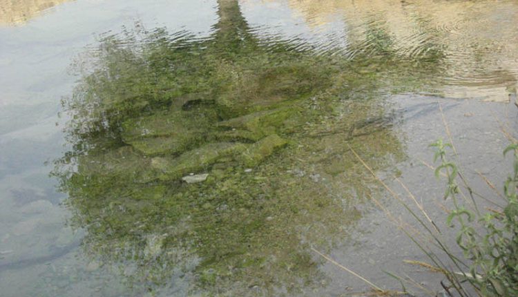 تالاب برم دلک، شیراز