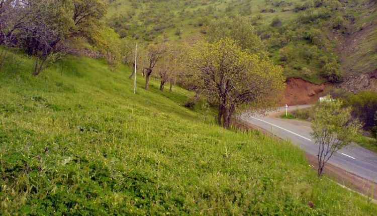 مسیر پاوه به نوسود