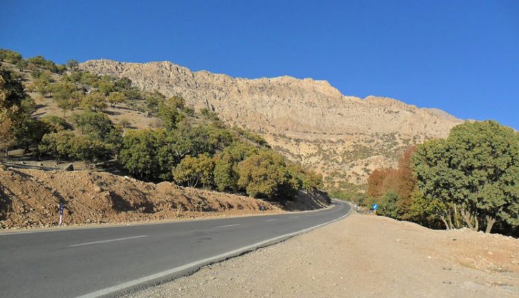 تنگ گنجه‌ اى، یاسوج