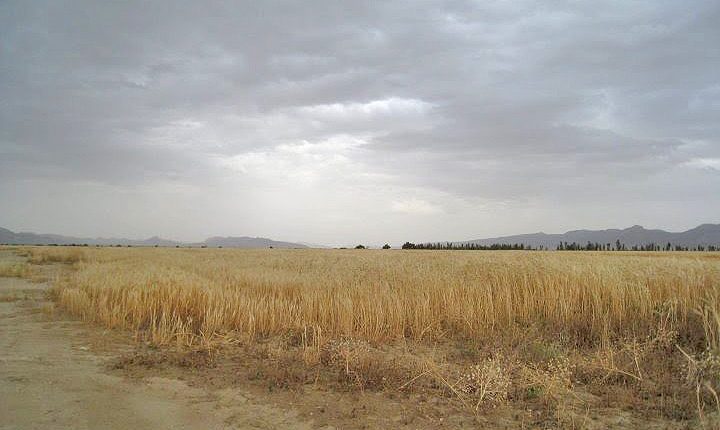 دریاچه کفه خنج