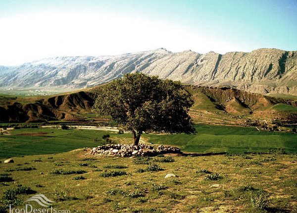 تنگ زنجیره، سرابله