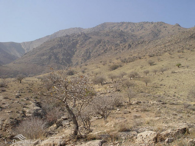 پارک ملی خجیر