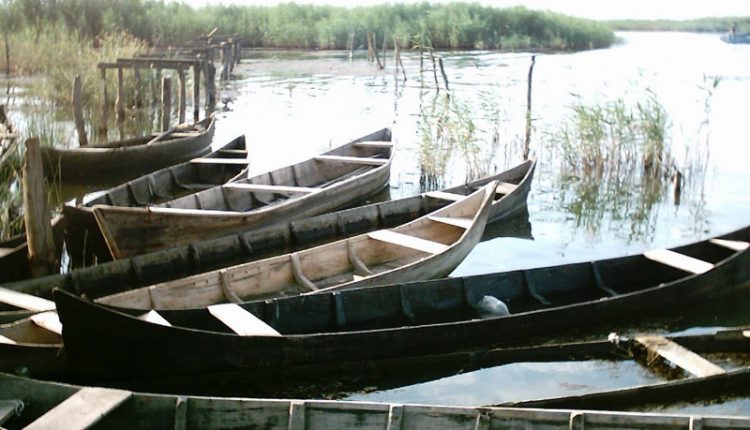 تالاب امیرکلایه، کیاشهر