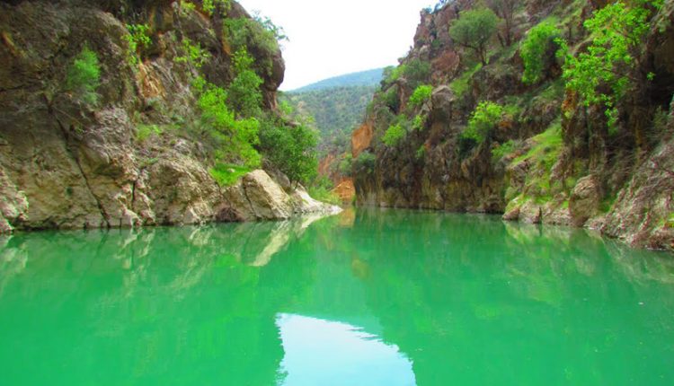 تنگ دم اسب، شیراز