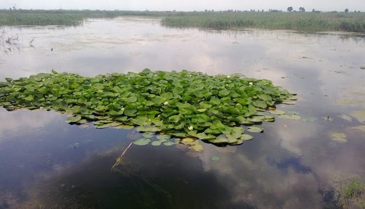 تالاب مرزن آباد، بابل