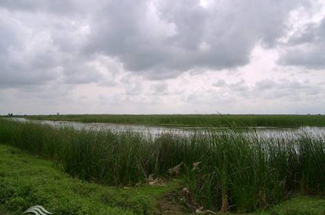 تالاب عزیزک، بابلسر