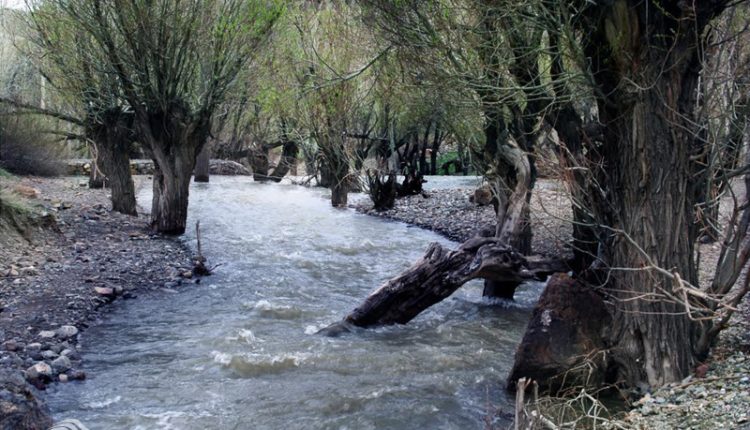 تنگ تیزاب، دماوند