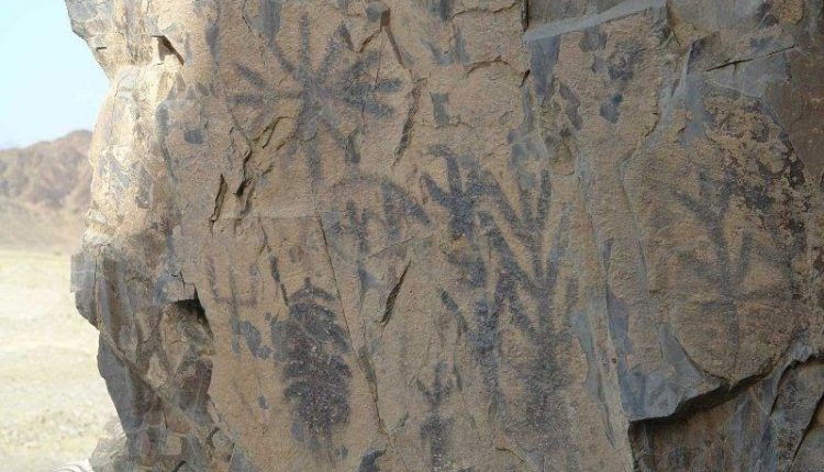 سنگ نگاره های دره نگاران