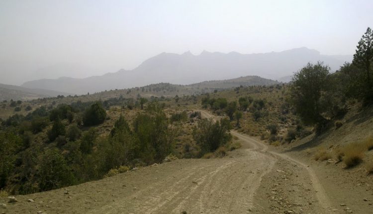 تنگ دم تنگ، استهبان