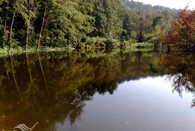 تالاب قادی کلا، قائم شهر