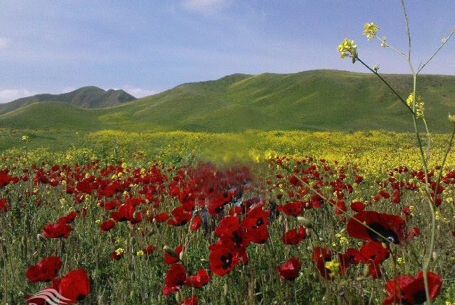 منطقه حفاظت شده مغان