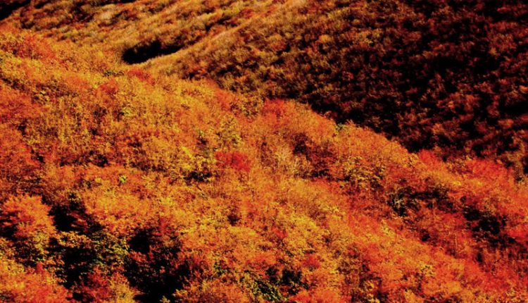 منطقه حفاظت شده ارسباران