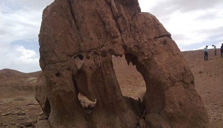 منطقه حفاظت شده درمیان