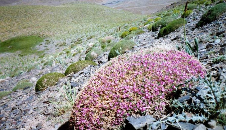 منطقه حفاظت شده بینالود