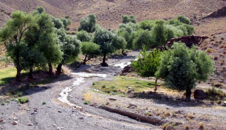 منطقه حفاظت شده افتخار