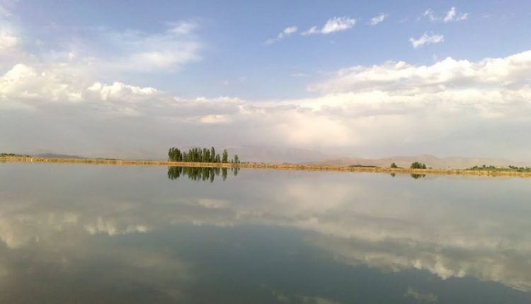 دریاچه سد افوس، فریدن