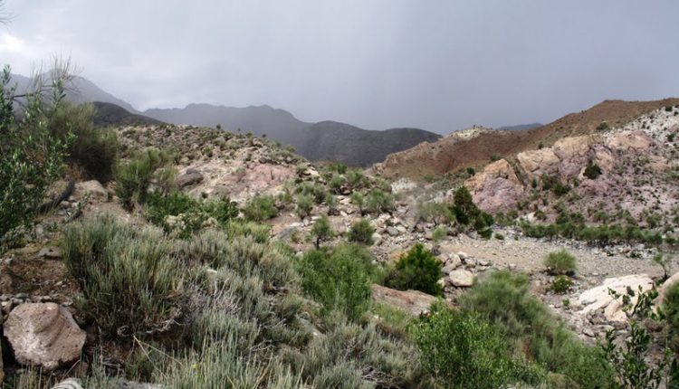 منطقه حفاظت شده سنگ مس