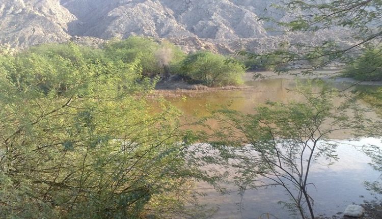 منطقه حفاظت شده کوه کشار