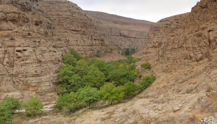 دره زوارم، شیروان