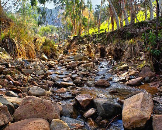 پارک جنگلی شقایق، دزفول، تصاویر از محمد آذرکیش