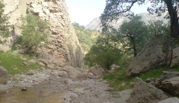 تنگ تهی، باغملک