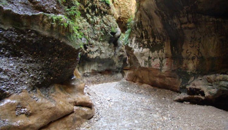 تنگ زینگان (زینه گان)، صالح آباد