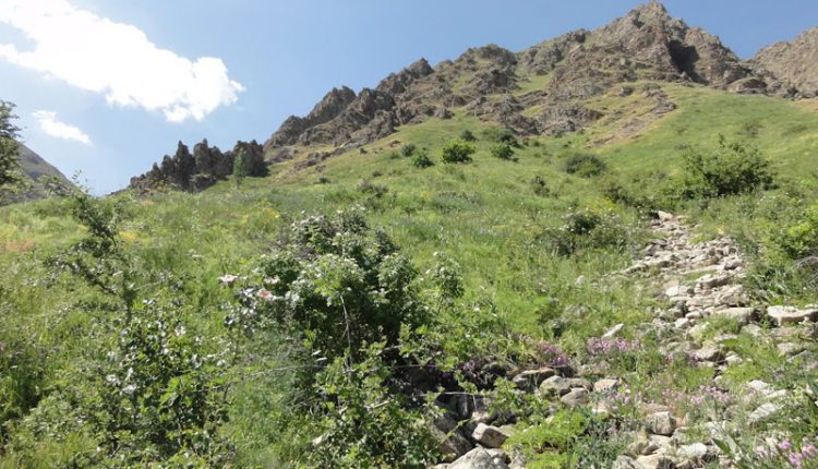 طبیعت روستای عیش آباد، مرند