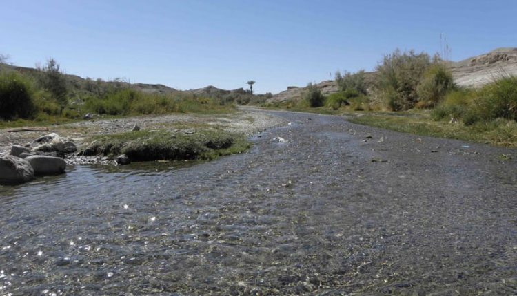 رودخانه لادیز