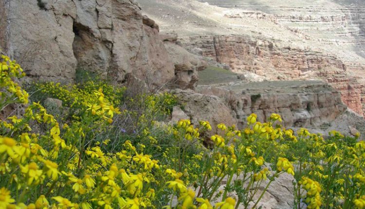 منطقه شکار ممنوع زرآباد، خوی