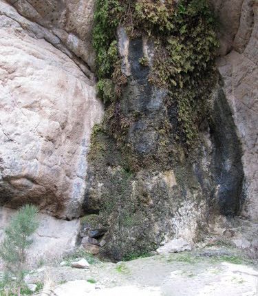 چشمه لادر (لادور)، خمینی شهر