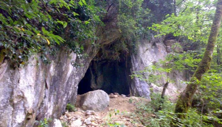 غوزک رودبار، شیرگاه