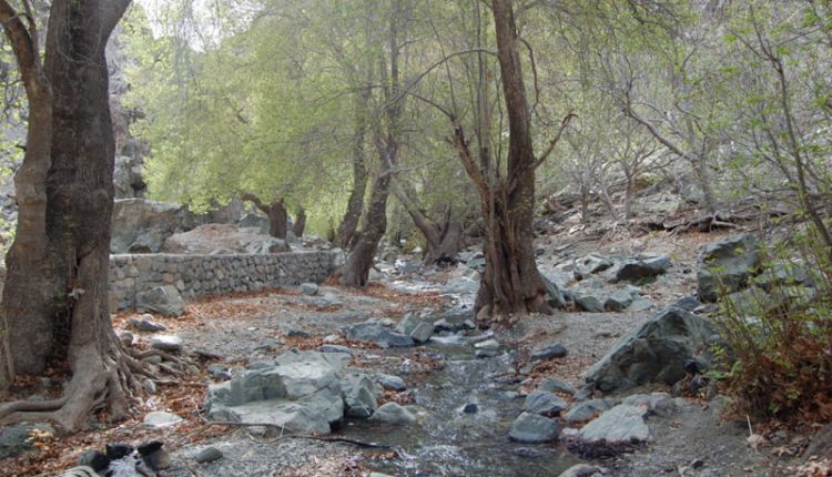 مسیر آبشار دره گلم دخترکش، دلفارد