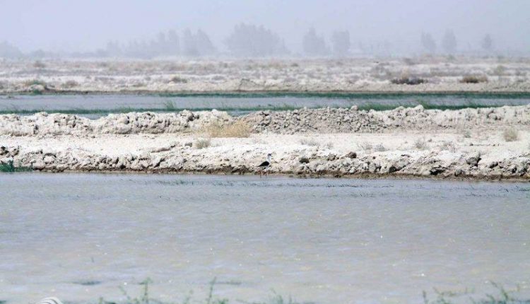 تالاب هامون پوزک