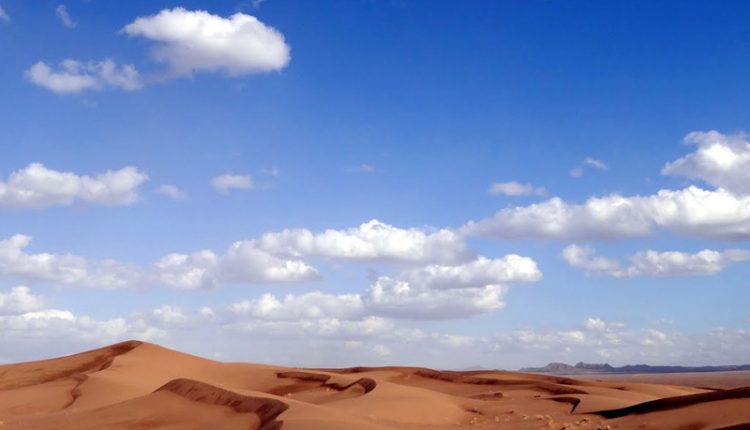 پناهگاه حیات وحش رباط شور