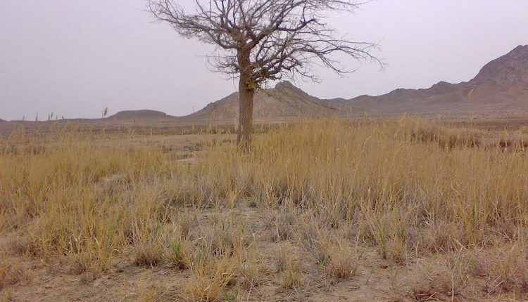 منطقه شکار ممنوع علی حیدر