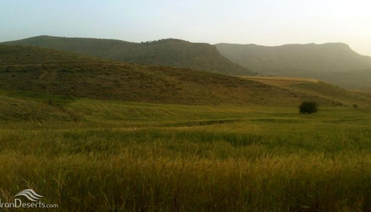 منطقه شهنیز، مارگون