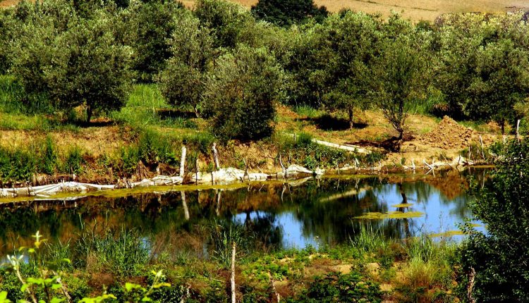 آبشار سرخو، مینودشت، عکس از مهدی ممشلی