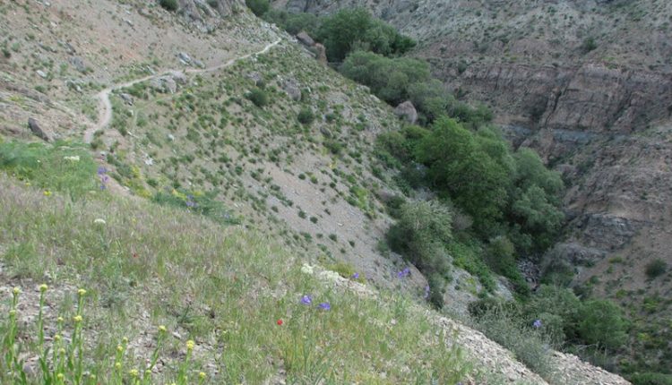 منطقه وردیج و واریش، تهران، عکس از محمد عابدی نژاد