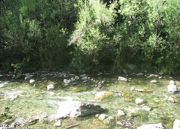 روستای سنج، ساوجبلاغ