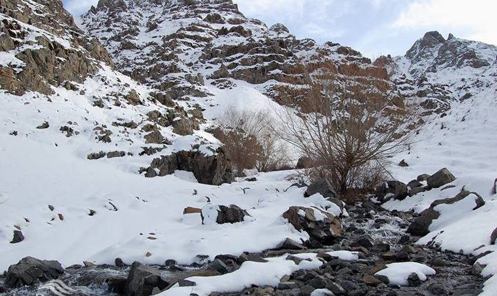 منطقه شکار ممنوع کهندان، قم، عکس از عباس علی میرزایی