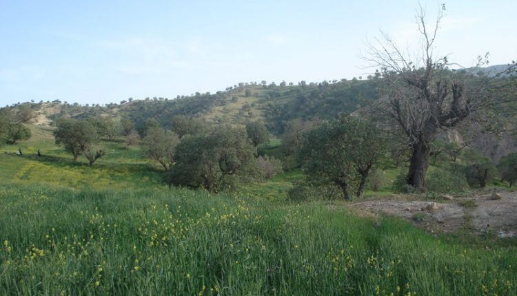 منطقه انجیره، آبدانان
