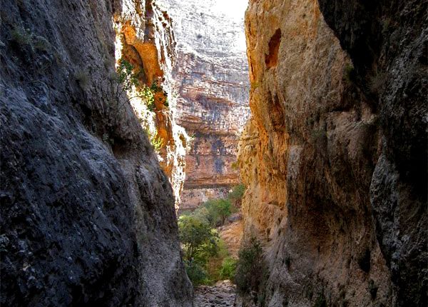 تنگ گمبیل، سپیدان