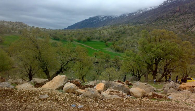 تنگ لارت، بدره