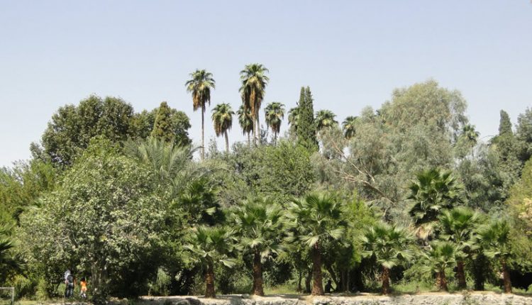 چشمه بلقیس، چرام